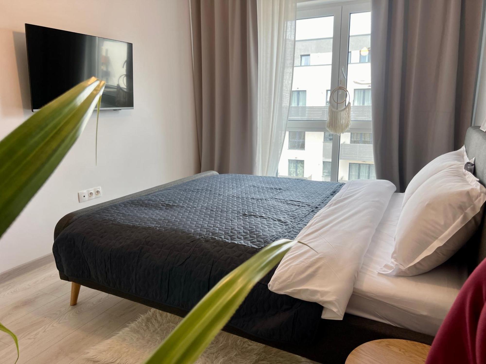 Blue Boho Studios And Apartments בראשוב מראה חיצוני תמונה