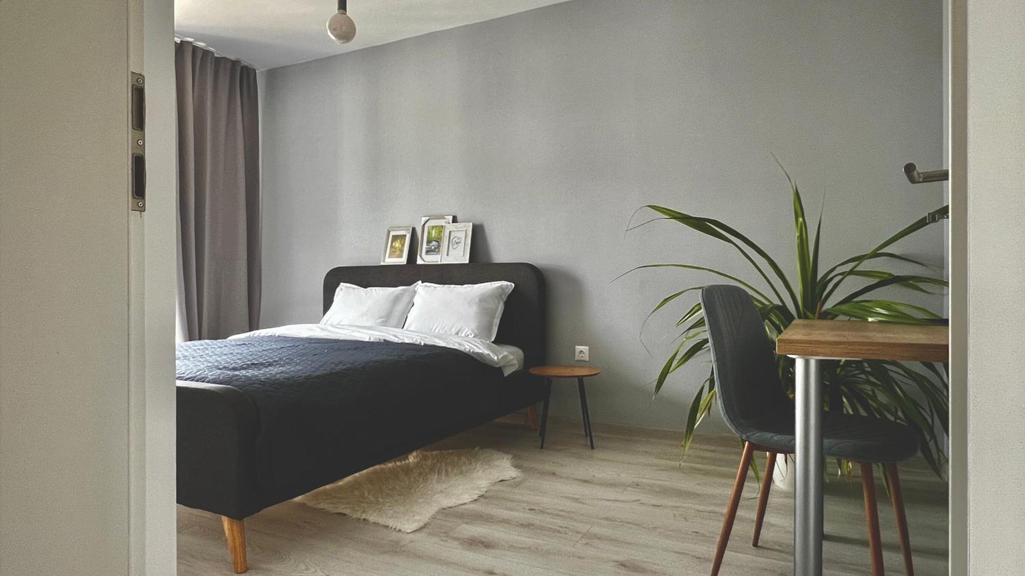 Blue Boho Studios And Apartments בראשוב מראה חיצוני תמונה