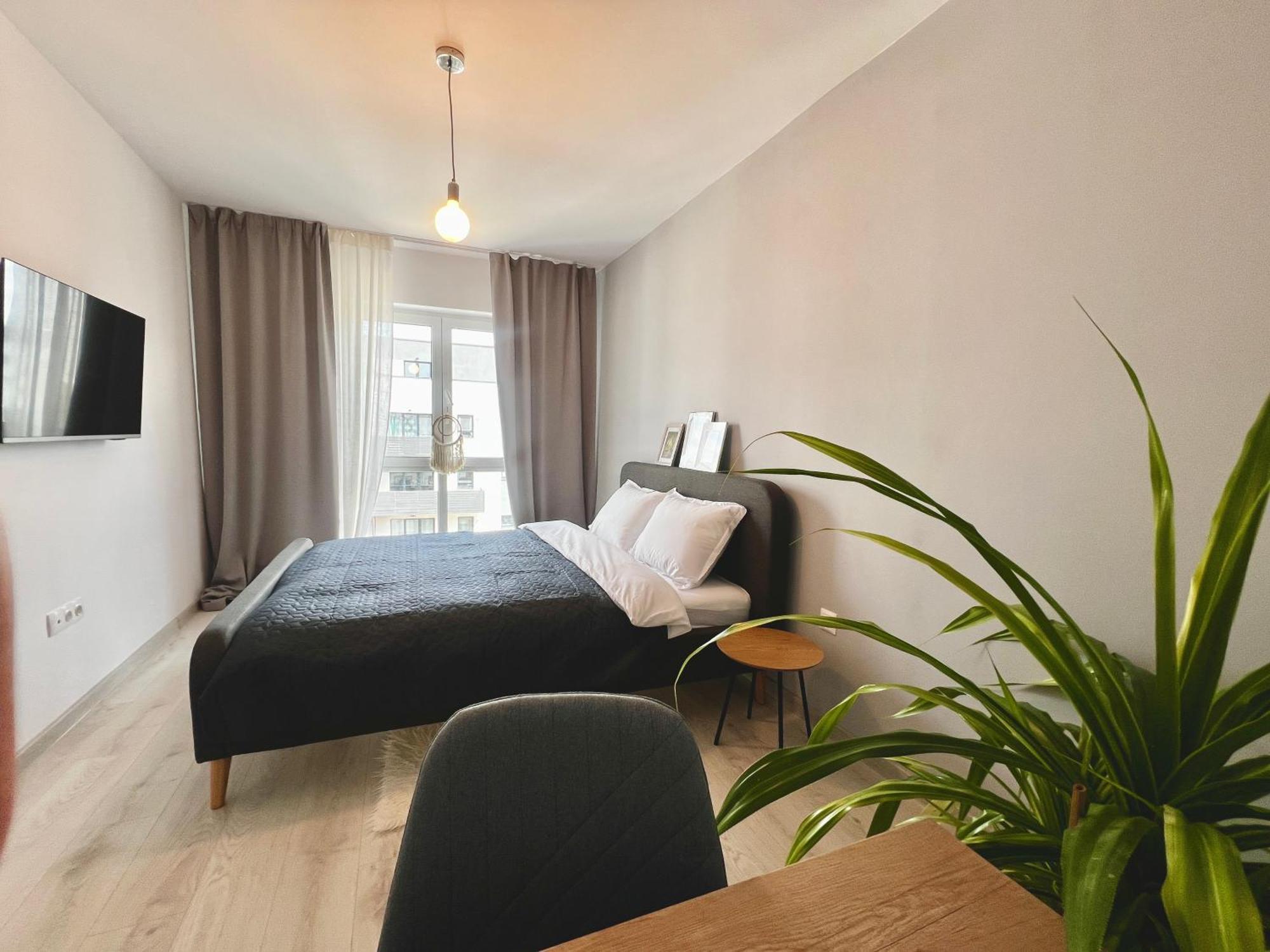 Blue Boho Studios And Apartments בראשוב מראה חיצוני תמונה